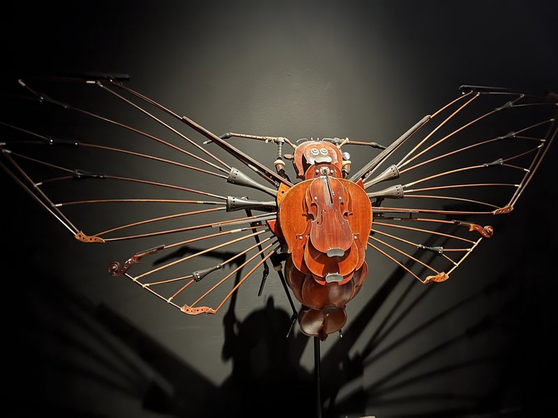 Visite guidée du musée d'histoire naturelle